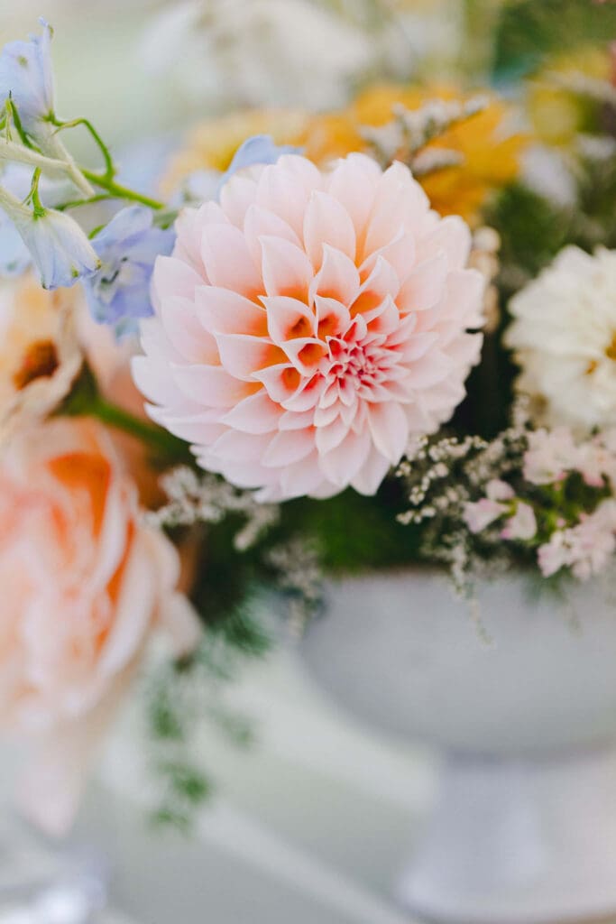 Macro shot of a peach dahlia surrounded by coastal-inspired blooms and greenery inside a white compote vase.